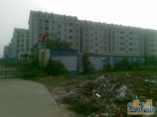 喜盈门地铁口康桥绿城精装修南北通透两房