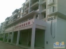 高入住率 近地铁 面积小 总价低 贴近江边 满五不唯一