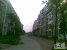 康桥绿城精装三居室 户型方正南北通透 房子实得率高