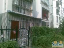 小区管理严谨干净整洁 全明户型方形板正