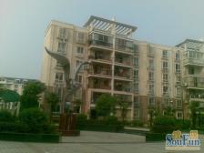 南昌大桥水厂路康桥绿城有院子停车方便