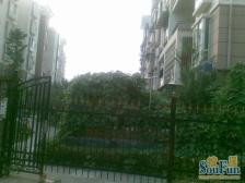 康桥绿城A区 南北通透,采光好 装修好,环镜优美 视野好,诚心出售