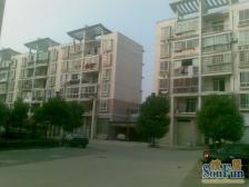 康桥绿城A区 南北通透,采光好 视野好,诚心出售