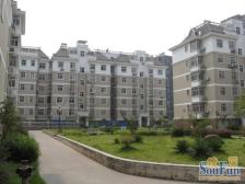 业主诚售, 通透格局 户型方正 采光充足 视野宽阔