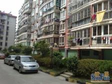 桃苑通透大三房有院卫 好楼层 离 校近