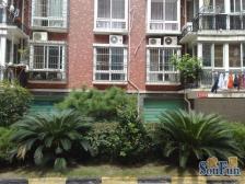 龙泽园 南北通透,采光好 装修好,环镜优美 视野好,诚心出售