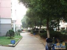 本房为复式楼,上下两层,装修好,地段好太阳全天带露台