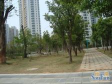 鹿璟名居 小户型 诚心出售 看房方便 总高9层