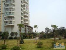 鹿璟名居装修3房出售,交通方便,生活便利