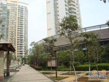 户型南北通透,方正,全款房,随时可以交易