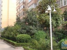 平安家园 南北通透,采光好 装修好,环镜优美 近地铁 视野好,诚心出售