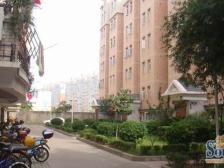 平安家园 南北通透,采光好 装修好,环镜优美 近地铁 视野好,诚心出售