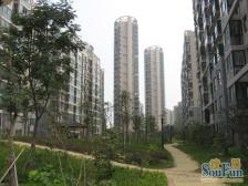 青云明珠 有院子 环境好 结构好