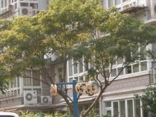 一梯两户得房率高,双南全明厅带窗,大客厅,舒适度高