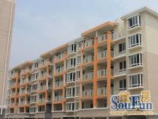 欣雨佳苑 2室2厅 南