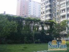 金诚花园 1室1厅 南