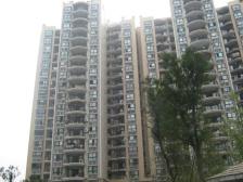 树语城 5室3厅 东南