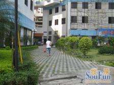 华南花园 3室1厅 北