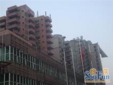 天鹅湖一房一厅带租约出售,即买即收租
