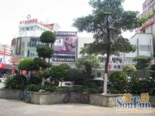 中心广场 2室2厅 东北