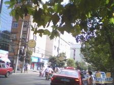 苏圃路 南北通透,采光好 二十八中书包诚心出售