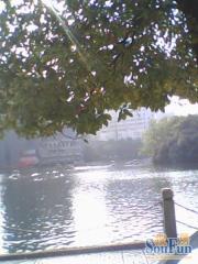 苏圃路南北通透,采光好视野好,诚心出售