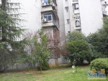 民航小区 南北通透,采光好 装修好,环镜优美 视野好,诚心出售