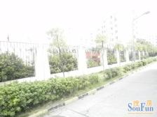 铁路九村(南铁世纪花园) 南北通透,采光好 装修好,环镜优美 近地铁 视野好,诚心出售