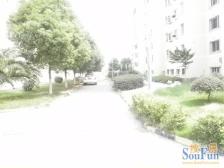 房子户型非常好,地段好,采光好,交通便利,停车方便