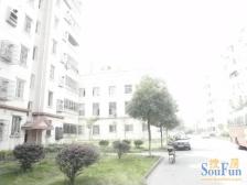 铁路九村(南铁世纪花园) 南北通透,采光好 近地铁 视野好,诚心出售