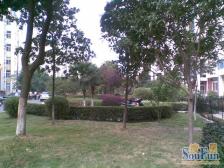 现代米罗(恒茂世纪花园) 南北通透,采光好 视野好,诚心出售