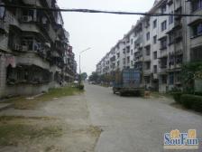 独栋别墅。格局方正。,独门独院,户型通透地理位置好