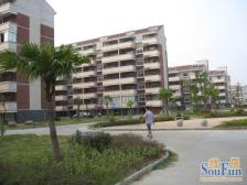 香澄苑 南北通透,采光好 装修好,环镜优美 周边匹套完善,,出行方便