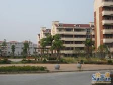 香澄苑 南北通透,采光好 中间楼层