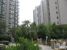 公园里封闭小区,大户型的好房源。