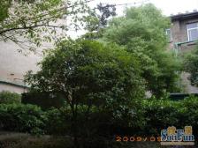 豫章路省委大院 南北通透,采光好 近地铁 视野好,诚心出售