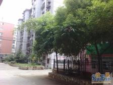 桃苑大街南昌外国语旁开放式小区通透三房朝南