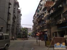 桃苑外国语学位房 振中小区 精装两室一厅 太阳光线很好