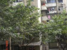 南坪 六院家属楼四房78万