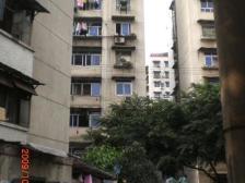 南坪双轻轨旁 精装2房 户型方正拎包入住 随时看房