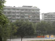 南坪双轻轨旁 精装2房 户型方正拎包入住 随时看房