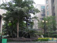 翠湖龙庭 2室2厅 南 北