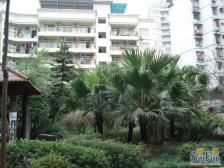 人和 天禾小区三房63万