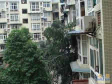 天禾花园 3室2厅 南