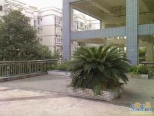 人和 加新仁和欣座三房188.4万