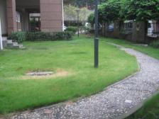 石桥铺 渝高和泰家园三房153万