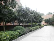 一城幸福时光 1室1厅 南