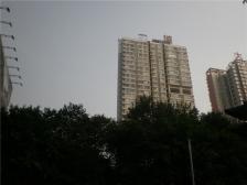 一城幸福时光 1室0厅 南