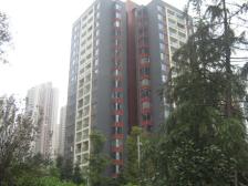 同天观云邸 2室1厅 东南