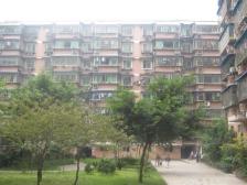 长江一路 2室1厅 东南